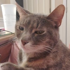 Meet your Posher, Emma